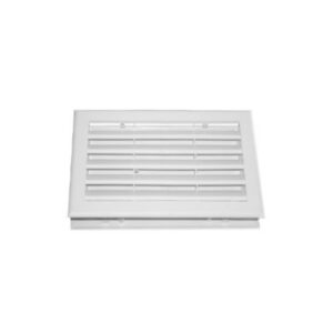 Celosia beagle 20x30cm