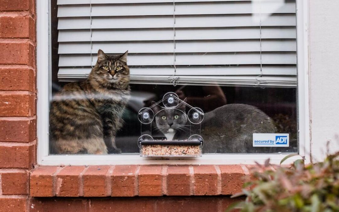 Tendencias en ventanas este 2023